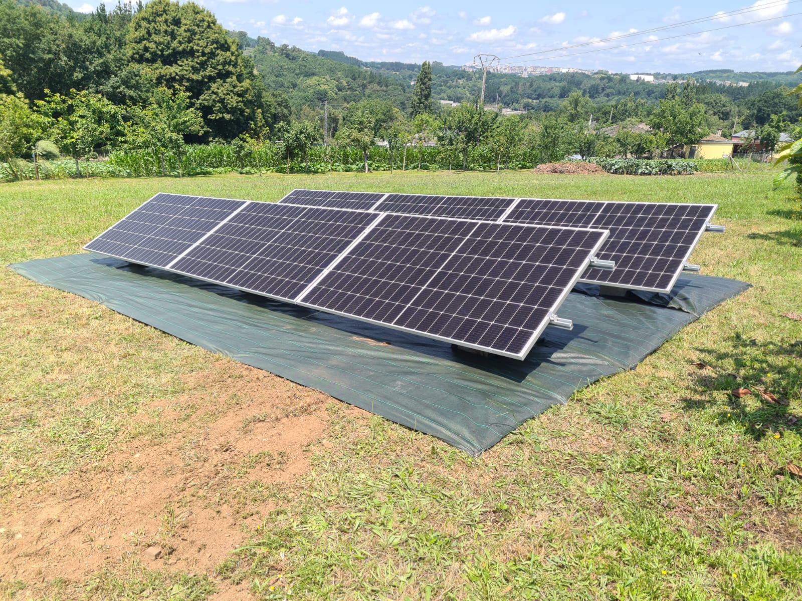 3c65f8d0-59a4-4a62-8e06-493860d4a312